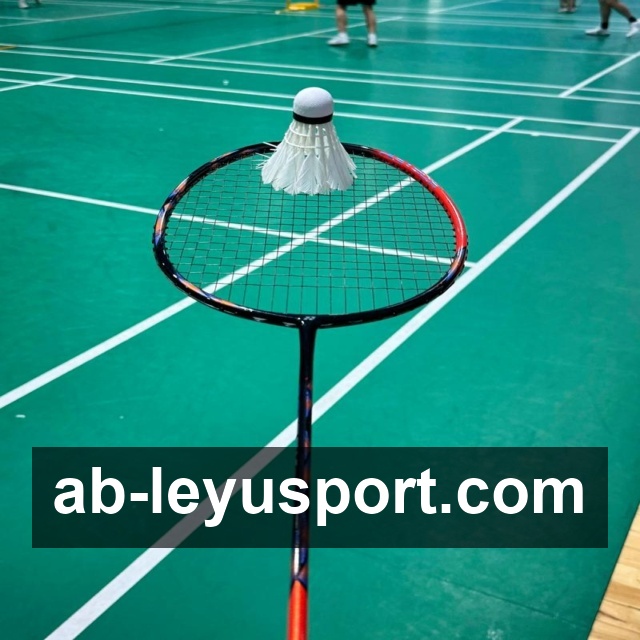 乐鱼体育 精彩赛事